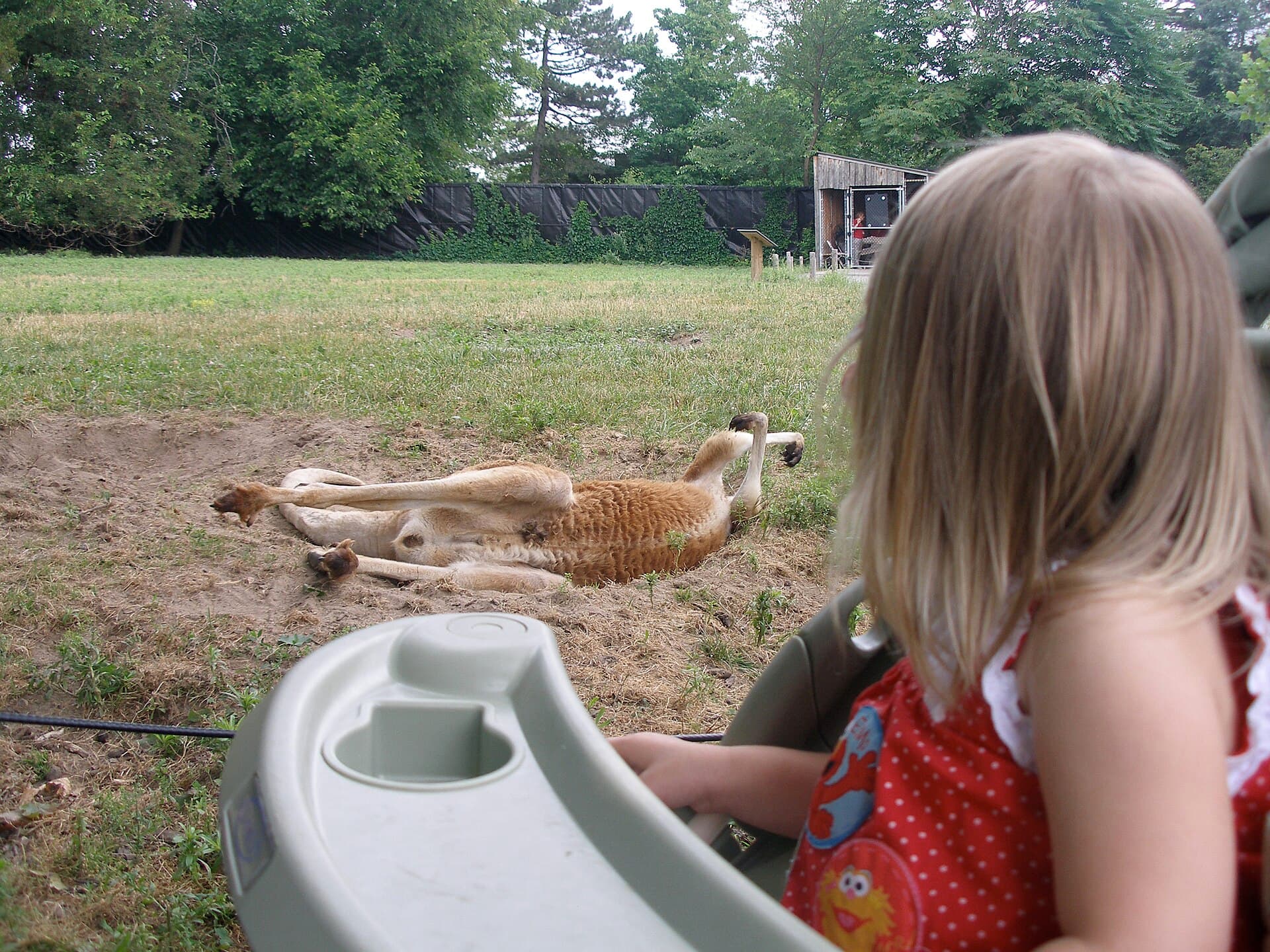Metro Detroit With Kids: A Family Day-Out Guide