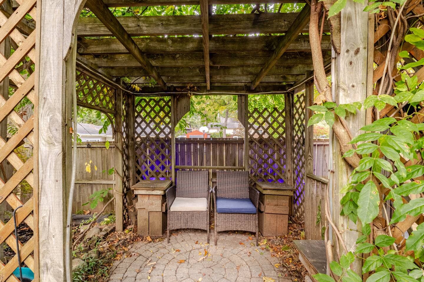Vine-covered pergola with a tucked-away bench